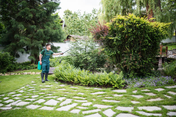 Reliable Key Vista, FL Pest Control Solutions