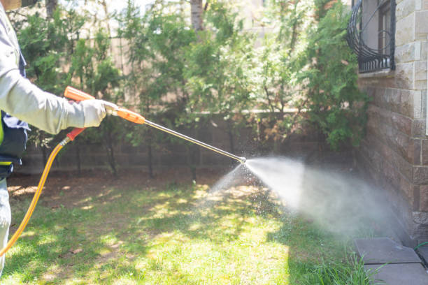 Best Wildlife Control Services  in Key Vista, FL