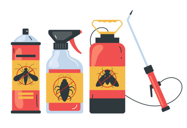 Best Local Pest Control Services  in Key Vista, FL