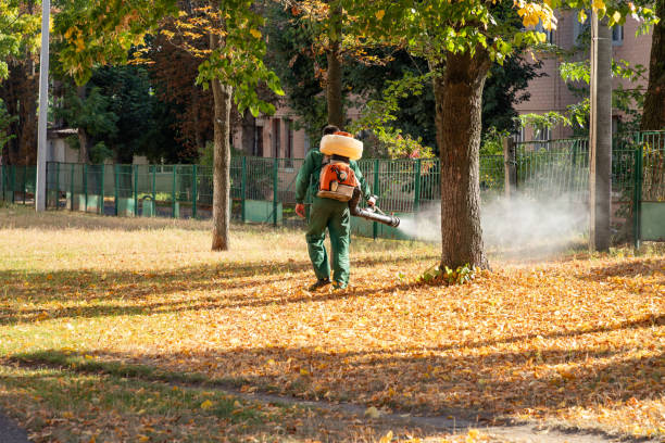 Best Termite Control Services  in Key Vista, FL