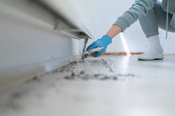 Best Pest Inspection Near Me  in Key Vista, FL