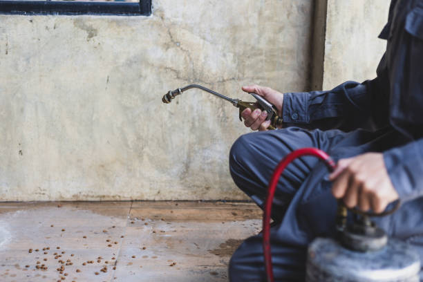 Best Pest Control Near Me  in Key Vista, FL